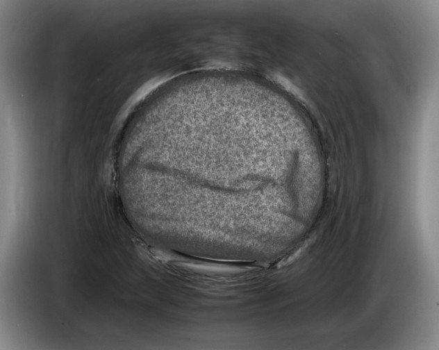 X0000083601215200703091734