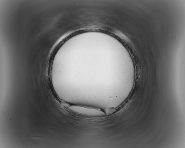 X0000083601216200703091734