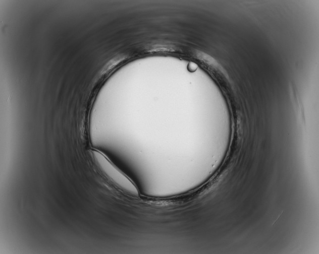 X0000083601217200703091734