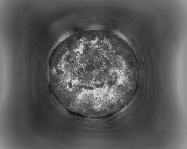 X0000083601219200703091734