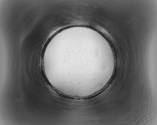 X0000083601220200703091734