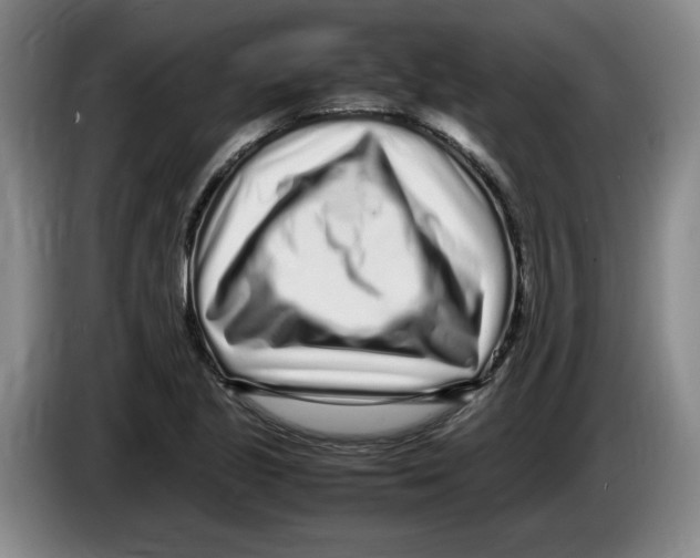 X0000083601221200703091734