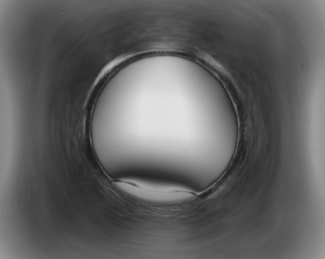 X0000083601222200703091734