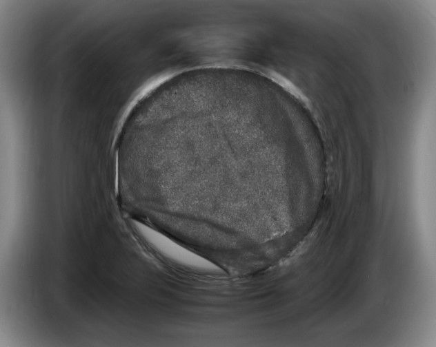 X0000083601223200703091734