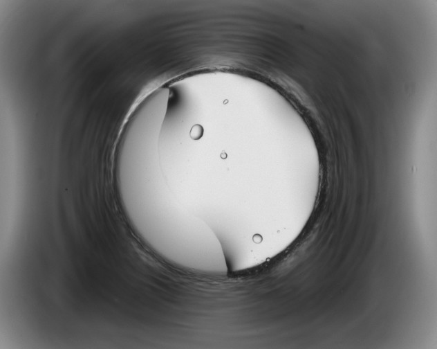 X0000083601226200703091734