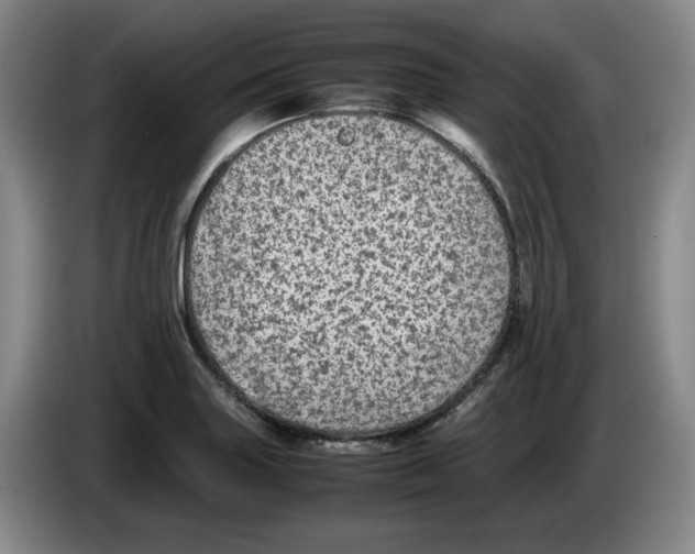 X0000083601227200703091734