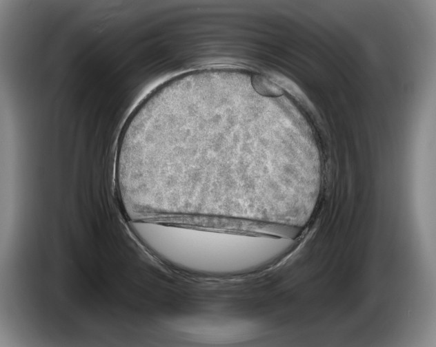 X0000083601228200703091734