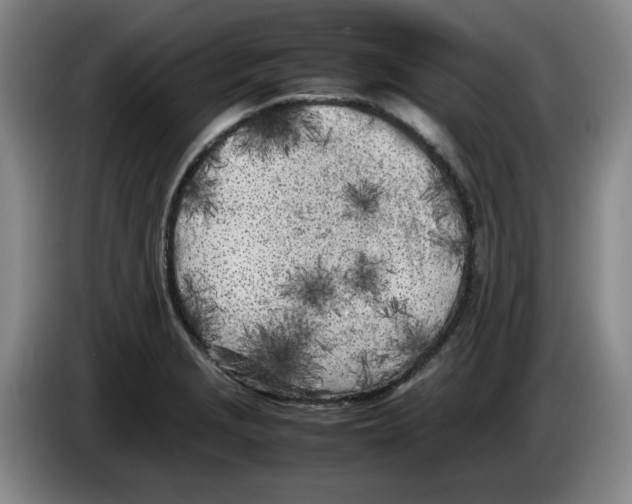 X0000083601229200703091734