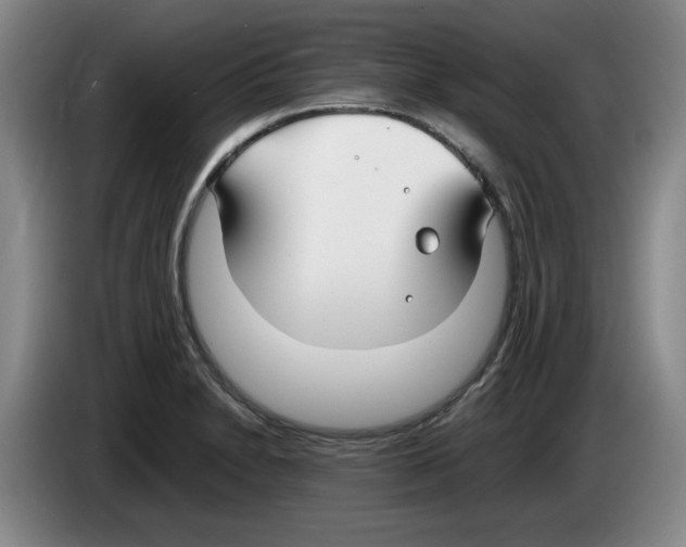 X0000083601230200703091734