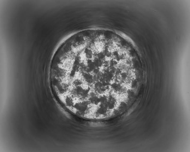 X0000083601231200703091734