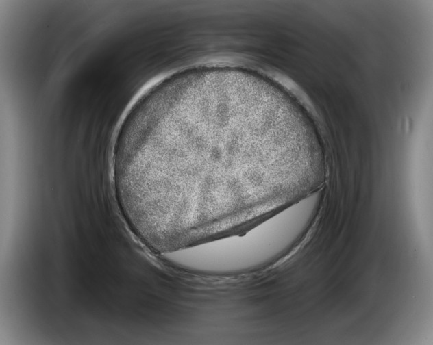 X0000083601232200703091734