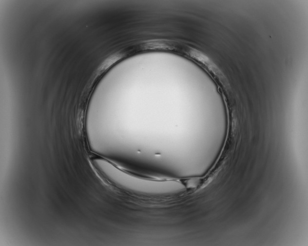 X0000083601233200703091734