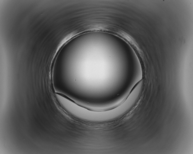 X0000083601234200703091734