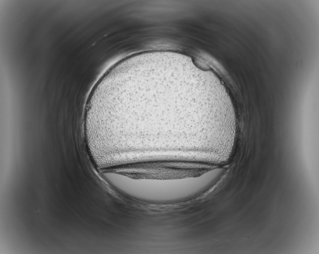 X0000083601236200703091734