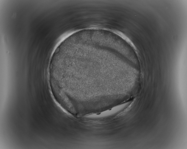 X0000083601239200703091734