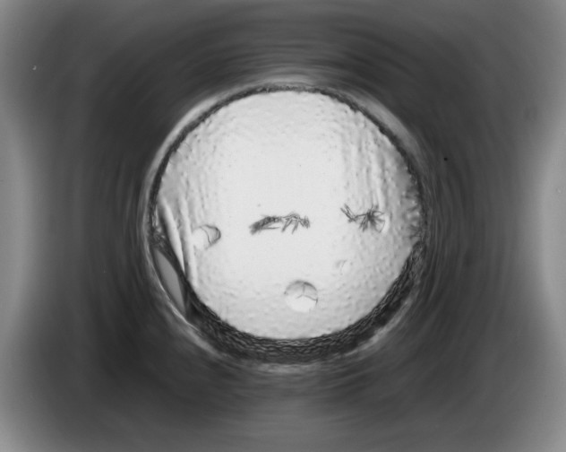 X0000083601240200703091734