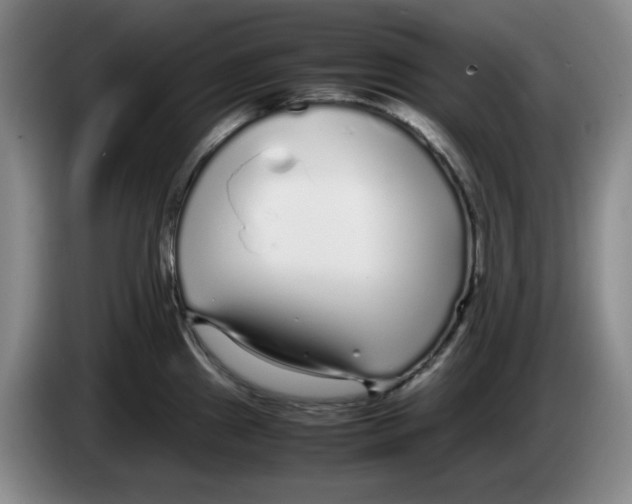 X0000083601241200703091734