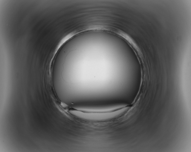 X0000083601242200703091734