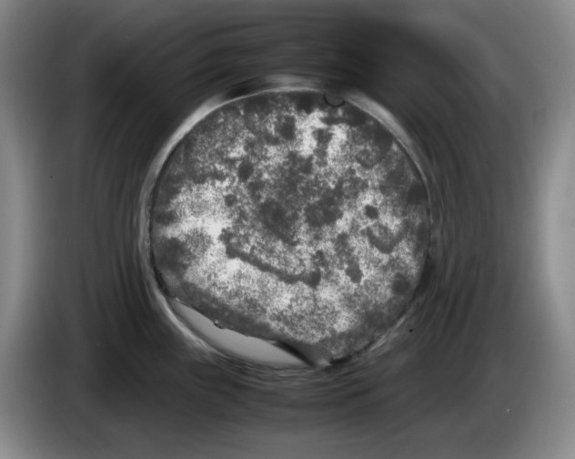 X0000083601243200703091734