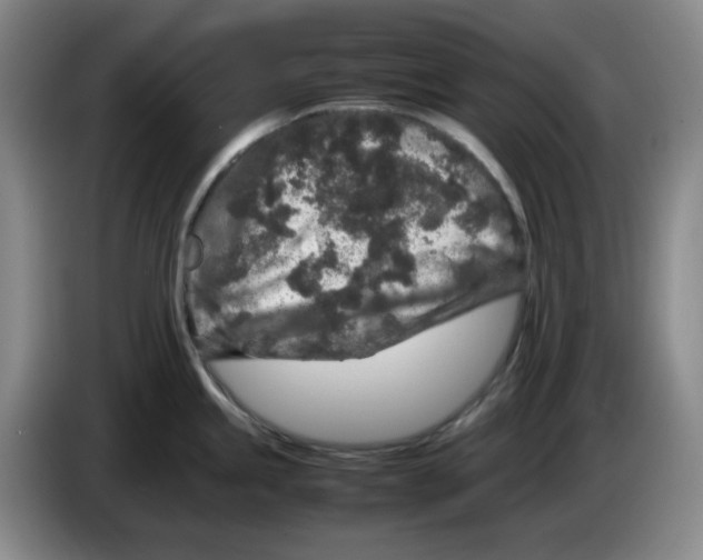 X0000083601245200703091734