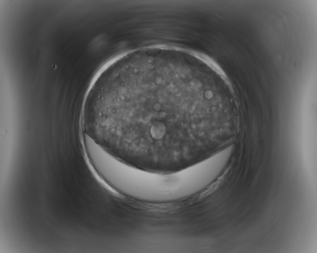 X0000083601247200703091734