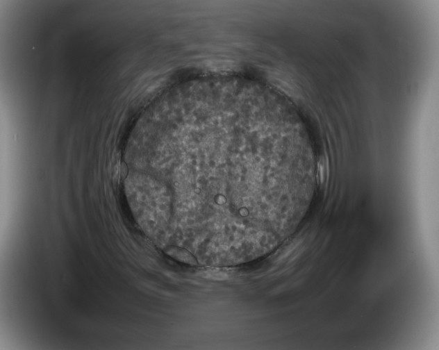 X0000083601251200703091734