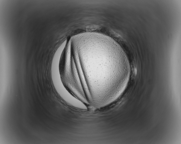 X0000083601252200703091734