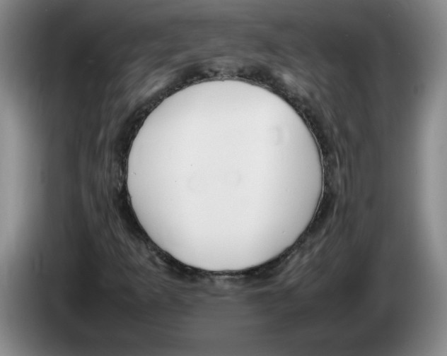 X0000083601253200703091734