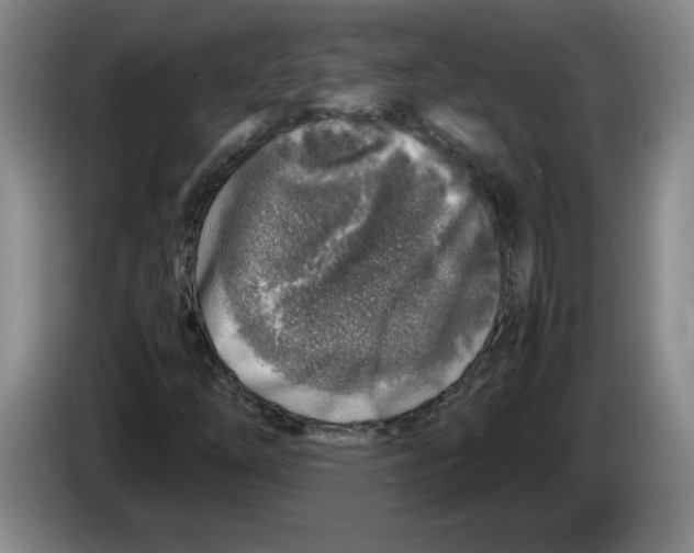 X0000083601254200703091734