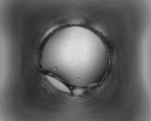 X0000083601256200703091734