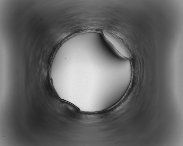 X0000083601257200703091734