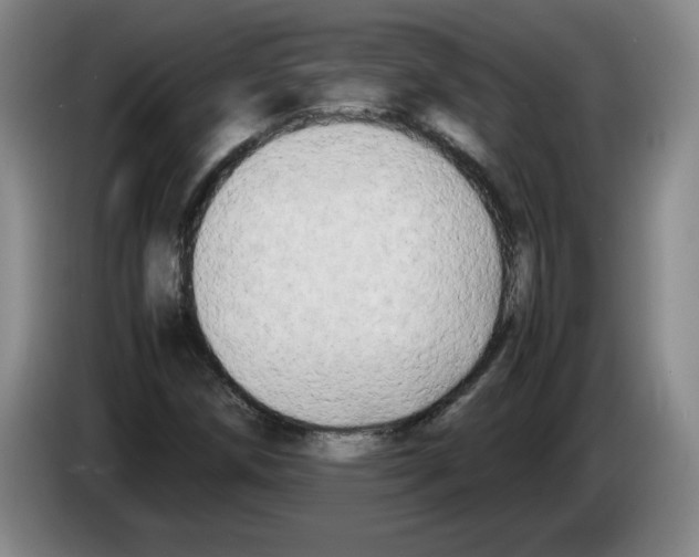 X0000083601258200703091734