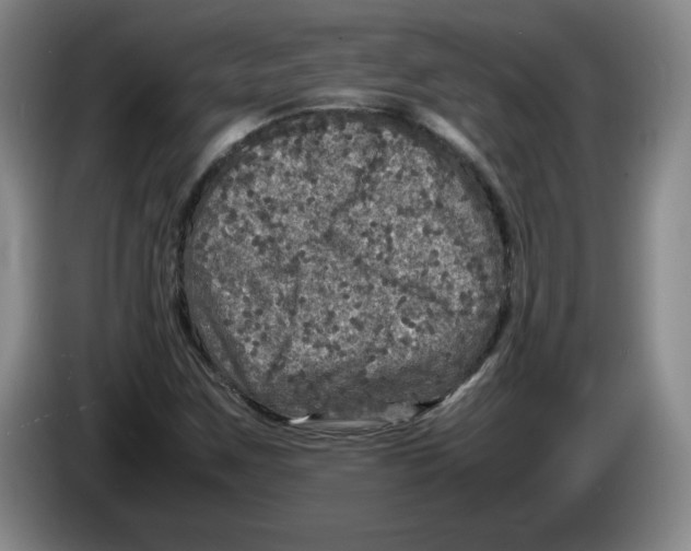 X0000083601259200703091734