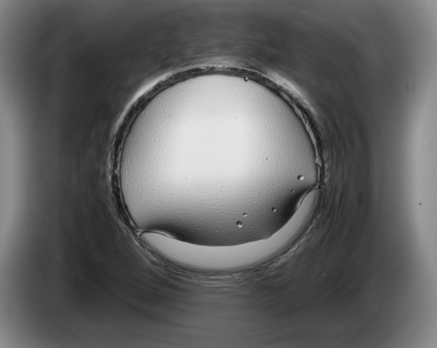 X0000083601264200703091734