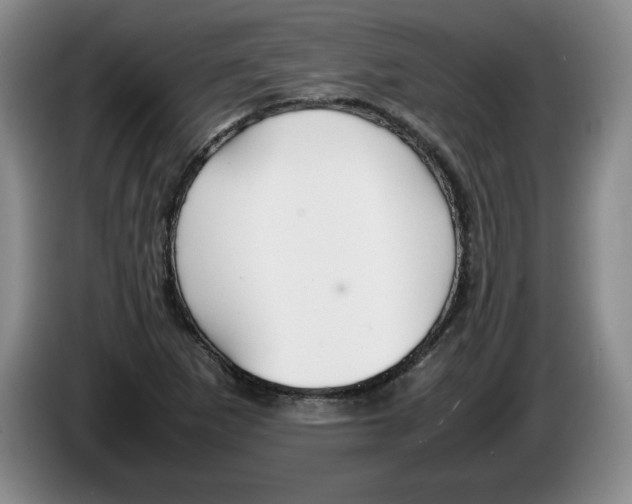 X0000083601265200703091734