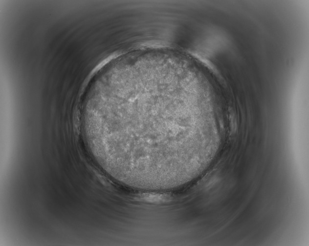 X0000083601266200703091734