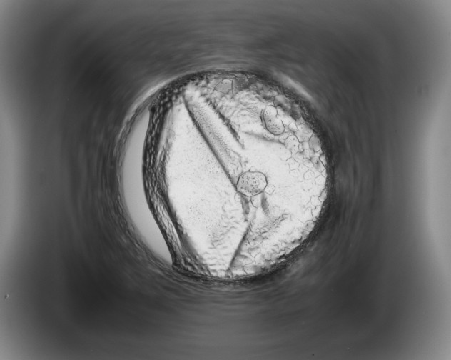 X0000083601267200703091734