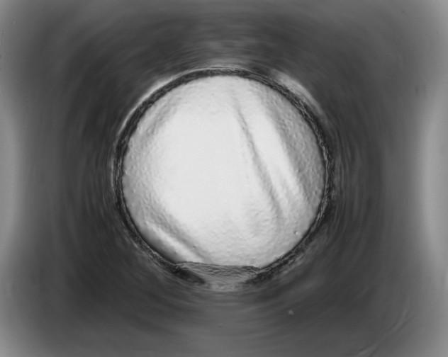 X0000083601268200703091734