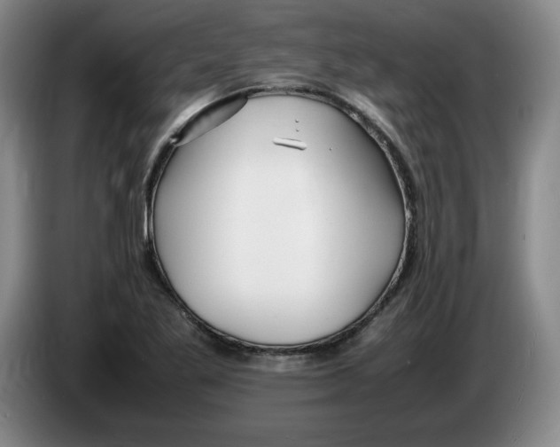 X0000083601269200703091734