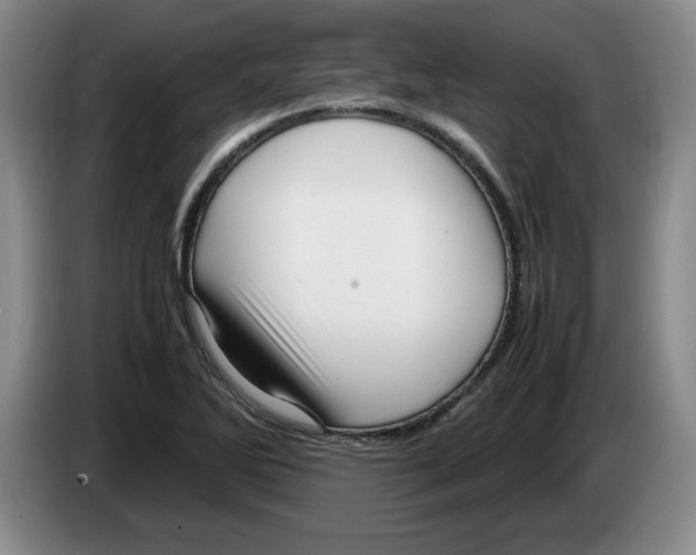 X0000083601270200703091734