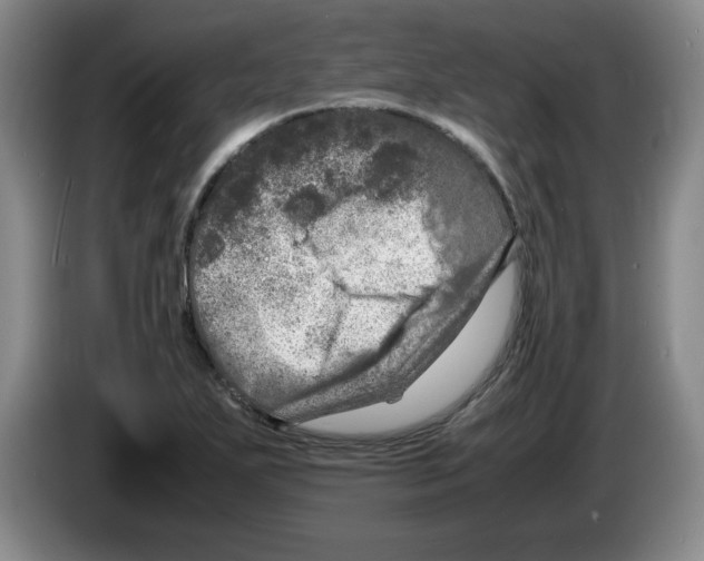 X0000083601271200703091733