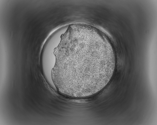 X0000083601272200703091733