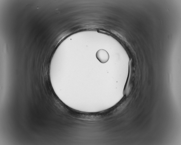 X0000083601273200703091733