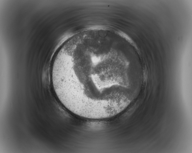 X0000083601274200703091733