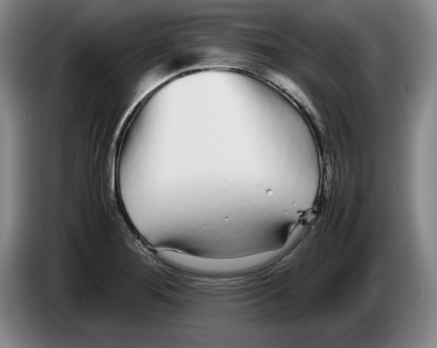 X0000083601276200703091733