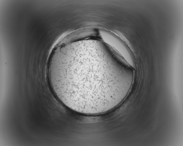 X0000083601277200703091733