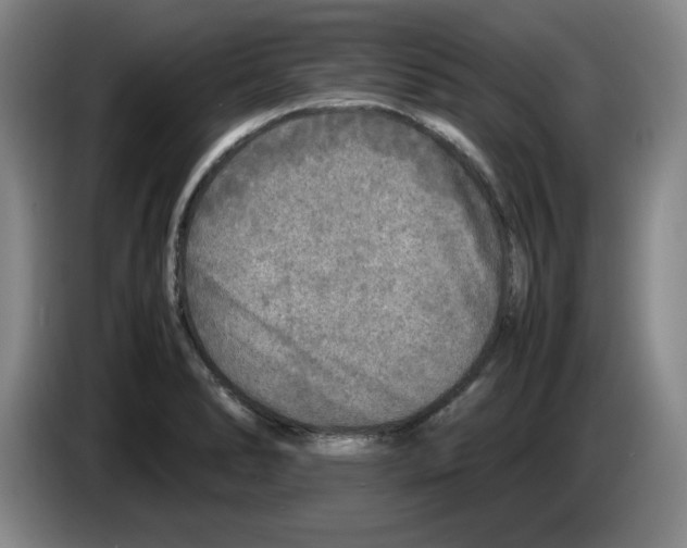 X0000083601278200703091733