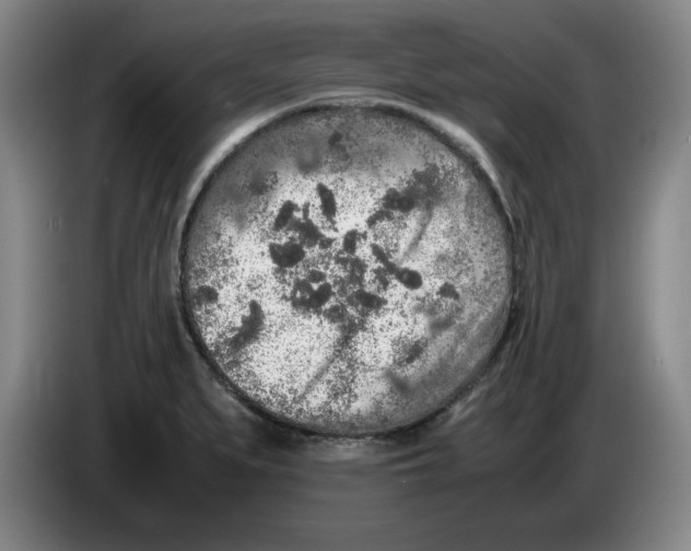 X0000083601279200703091733