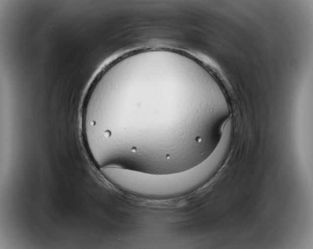 X0000083601280200703091733