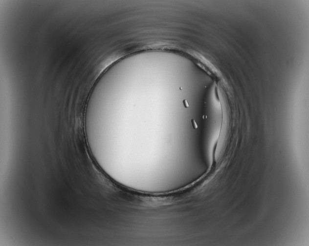 X0000083601281200703091733